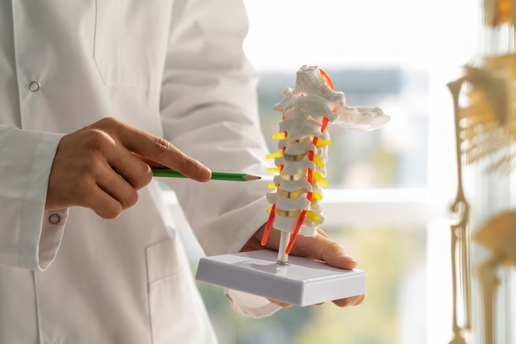 Spine Surgery