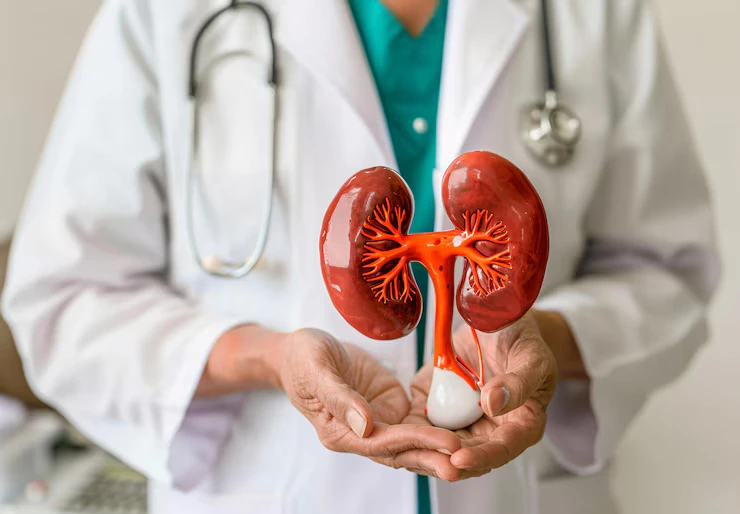 Kidney Transplant