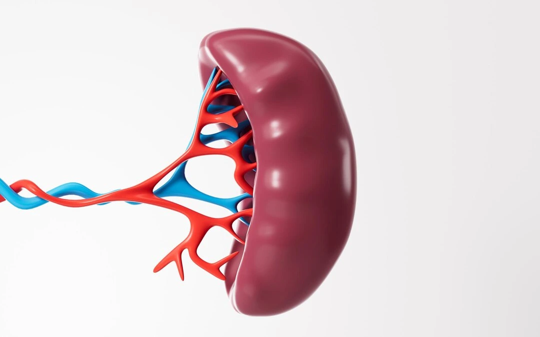 Splenectomy